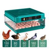 Chocadeira 130 Ovos 220v
