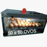 Chocadeira 50 Ovos Automatica