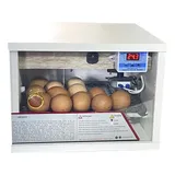Chocadeira Automatica 30 Ovos