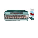 Chocadeira Automatica Bateria 12v
