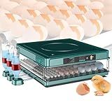 Chocadeira Automática Digital De Frango, Incubadora Profissional De Ovos, Espaçamento Ajustável + Giro Automático De Ovos + Controle De Temperatura + Reabastecimento De água,130eggs