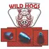Chumbo Slug C24 .22/5,48mm (.216) 24grains/ 1,55g 250 Unid