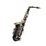 Chusui Eb Alto Saxofone Sax Latão Lacado Ouro 82z Tipo Chave Instrumento De Sopro Com Estojo Acolchoado Luvas Pano De Limpeza Escova Correias Sax Palhetas
