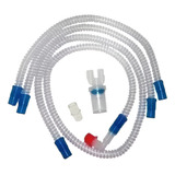 Circuito Completo Lumiar Com