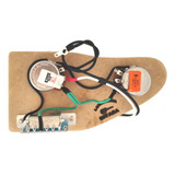 Circuito Eletrica Super Strato