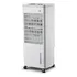 Climatizador De Ar Portátil Zellox Zlx 08 65w 08 Litros 110v Cor Branco