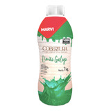 Cobertura P  Sorvete Limao Galego Marvi C  1 Kg