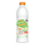 Cobertura Para Sorvetes E Sobremesas Sabores Selecta 1,3kg