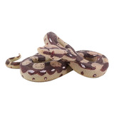 Cobra De Borracha Grande