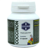 Coccinon 21 Capsulas 14