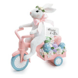 Coelho Branco Com Triciclo