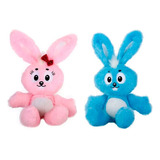 Coelhos Sansao E Dalila