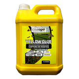 Cola Entomologica Amarela Yellow