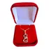 Colar Cordão Corrente Pingente Cachorro Dog Pet Prata 925 
