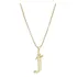 Colar Corrente Letra Lisa Inicial Presente Banhado Ouro 18k Cor Dourado J