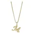 Colar Corrente Letra Lisa Inicial Presente Banhado Ouro 18k Cor Dourado M