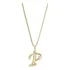 Colar Corrente Letra Lisa Inicial Presente Banhado Ouro 18k Cor Dourado P