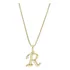 Colar Corrente Letra Lisa Inicial Presente Banhado Ouro 18k Cor Dourado R