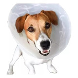 Colar De Recuperacao Cirugico