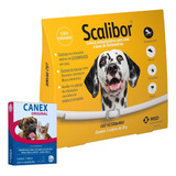 Colar Grande Scalibor De 65 Cm Para Cães Ajustavel Msd Contra Pulgas Carrapatos E Mosquito Da Leishmaniose Com Vermifugo