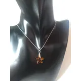 Colar Prata 925 Com