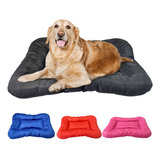 Colchonete Cama Caminha Almofada