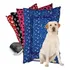 Colchonete Para Cachorro Gato Caminha Pet 90x63 Cm Tam Gg Cor Azul