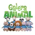 Coleção Completa Nestlé Galera Animal Filhotes 2010 Novo