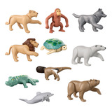 Colecao Completa Playmobil Wiltopia
