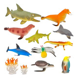 Colecao De Animais Marinhos