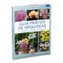 Coleção Guia Prático De Orquídeas: 15 Espécies Para Começar: 15 Espécies Para Começar, De Valerio, Romahn. Coleção Primeiros Passos, Vol. 3. Editorial Europa, Capa Mole Em Português, 2021