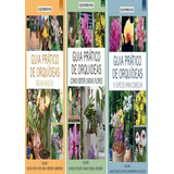 Colecao Guia Pratico De