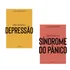 Coleção Saúde Da Mente 2 Vol: Como Enfrentar A Depressão + Como Enfrentar A Síndrome Do Pânico, De Astral Cultural. Editorial Kit De Livros, Capa Mole, Edição 20230101 00:00:00 Em