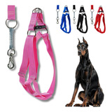 Coleira Bulldog Frances Anti