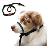 Coleira Cabresto Para Cachorro