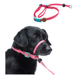 Coleira Cabresto Para Cachorro