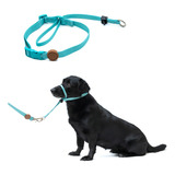 Coleira Cabresto Para Cachorro