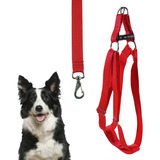 Coleira Cachorro Peitoral Porte