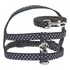 Coleira Conjunto Peitoral Nylon C/ Guia Modelo Bolinha Cor Preto Tamanho Da Coleira 2