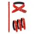 Coleira Couro Para Cachorro Porte Médio Pequeno N 5 Cor Vermelho Liso Siqueira Pet