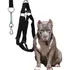 Coleira De Pitbull Peitoral Com Guia Amortecedor Resistente 