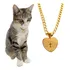 Coleira Para Gato Com Pingente Pai Nosso Colar Pet Aço Inox Cor Dourado Corações Tamanho Da Coleira M