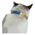 Coleira Para Gato Identificação Sem Barulho Personalizado
