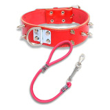 Coleira Para Pit Bull Couro Com Spike Coleira Spike   Guia Cor Vermelho