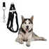 Coleira Peitoral Husky Siberiano Guia Amortecedor Anti Puxão
