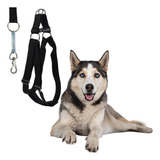 Coleira Peitoral Husky Siberiano