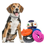 Coleira Pet Anti Pulgas