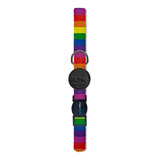 Coleira Rainbow Para Gatos
