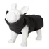 Colete Pet Jr Preto Neon Para Cachorros Em Poliamida