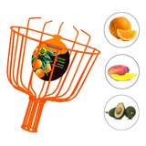 Colhedor De Frutas Grande